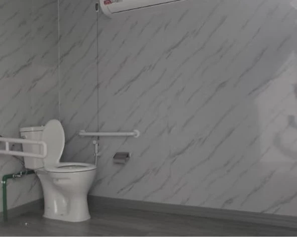 Western WC in Accessible Toilet